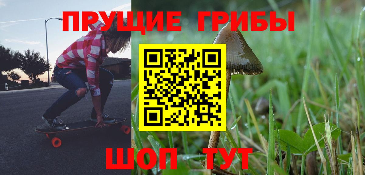 Галлюциногенные грибы MAGIC MUSHROOMS  хочу   Норильск  Вход с VPN  Галлюциногенные грибы MAGIC MUSHROOMS 