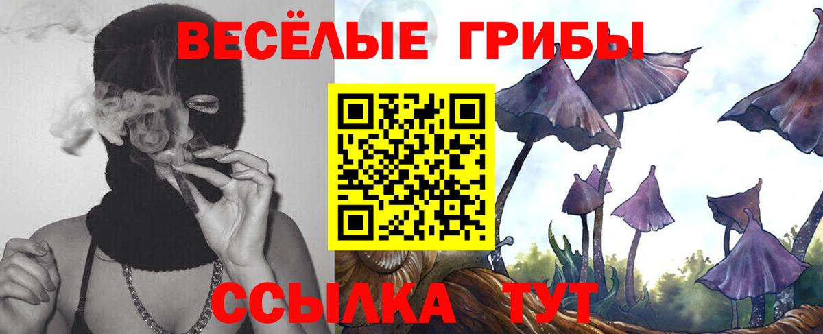 Галлюциногенные грибы прущие грибы Норильск
